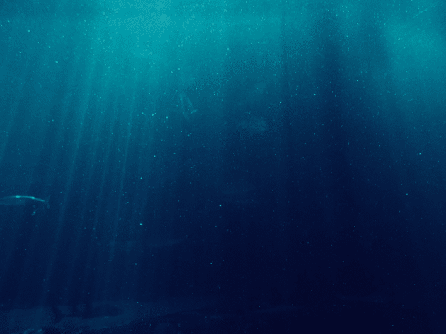 Fragments of micro-plastics floating in the ocean