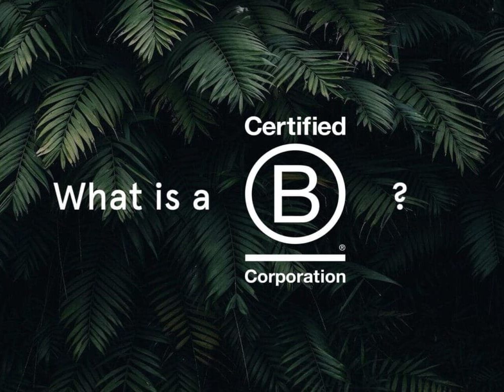 What is a b corp text over leaves