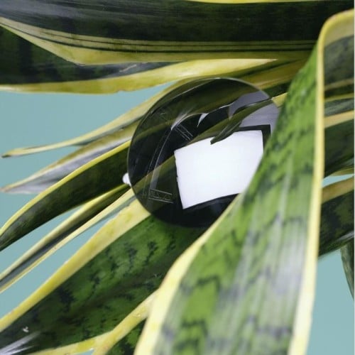 eco friendly sunglasses lens