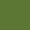 Emerald green sunglasses