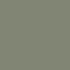 Olive Green Sunglasses