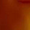 Rye Tortoiseshell sunglasses