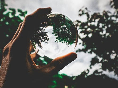 Carbon Neutral Brand Journal Post