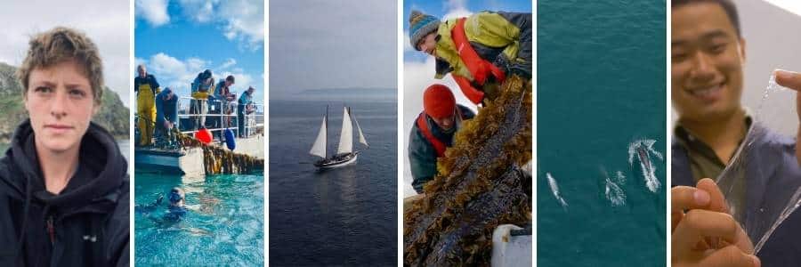 Selection of images showing Caylon La Mantia director of the Kelp! Film. Shots include sea kelp farming, the irish sea, dolphins and plastic free packaging solutions