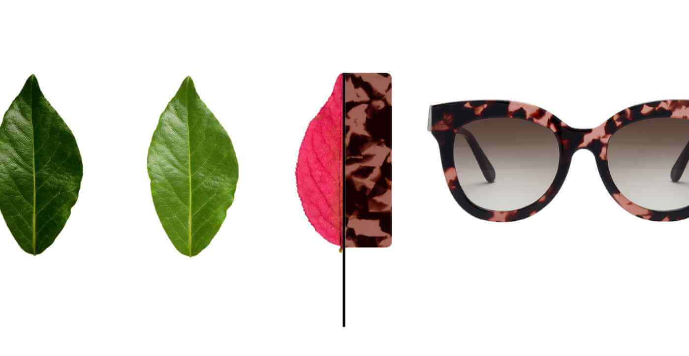 more sustainable bio acetate made from wood pulp