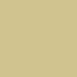 gold colour