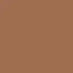 Tawny brown sunglasses colour