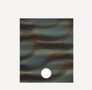 green tortoiseshell colour
